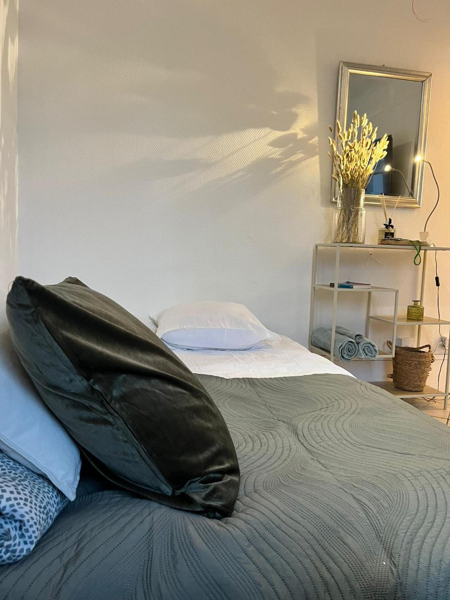 Elegant Cocon Lumineux Au Coeur De Apartment